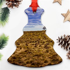 Patagonia Landscape Scene, Santa Cruz - Argentina Ornament (christmas Tree)  by dflcprintsclothing