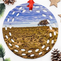 Patagonia Landscape Scene, Santa Cruz - Argentina Round Filigree Ornament (two Sides) by dflcprintsclothing