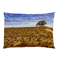 Patagonia Landscape Scene, Santa Cruz - Argentina Pillow Case (two Sides) by dflcprintsclothing