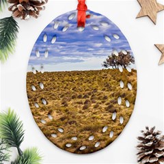 Patagonia Landscape Scene, Santa Cruz - Argentina Ornament (oval Filigree) by dflcprintsclothing