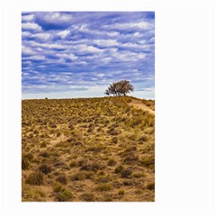 Patagonia Landscape Scene, Santa Cruz - Argentina Large Garden Flag (two Sides) by dflcprintsclothing