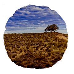 Patagonia Landscape Scene, Santa Cruz - Argentina Large 18  Premium Round Cushions by dflcprintsclothing