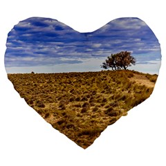 Patagonia Landscape Scene, Santa Cruz - Argentina Large 19  Premium Heart Shape Cushions by dflcprintsclothing