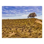 Patagonia Landscape Scene, Santa Cruz - Argentina Double Sided Flano Blanket (Large)  80 x60  Blanket Front