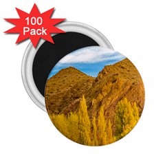 El Leoncito National Park, San Juan Province, Argentina 2 25  Magnets (100 Pack) 