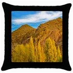 El Leoncito National Park, San Juan Province, Argentina Throw Pillow Case (Black) Front