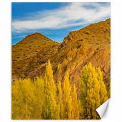 El Leoncito National Park, San Juan Province, Argentina Canvas 8  X 10  by dflcprintsclothing