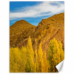 El Leoncito National Park, San Juan Province, Argentina Canvas 12  X 16  by dflcprintsclothing