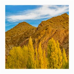 El Leoncito National Park, San Juan Province, Argentina Medium Glasses Cloth by dflcprintsclothing