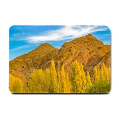 El Leoncito National Park, San Juan Province, Argentina Small Doormat  by dflcprintsclothing