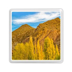 El Leoncito National Park, San Juan Province, Argentina Memory Card Reader (square) by dflcprintsclothing