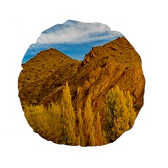 El Leoncito National Park, San Juan Province, Argentina Standard 15  Premium Round Cushions by dflcprintsclothing