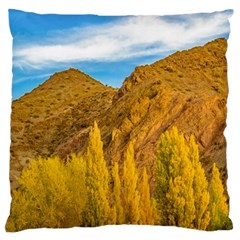 El Leoncito National Park, San Juan Province, Argentina Large Flano Cushion Case (one Side) by dflcprintsclothing