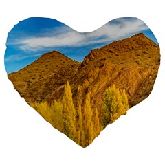 El Leoncito National Park, San Juan Province, Argentina Large 19  Premium Flano Heart Shape Cushions by dflcprintsclothing