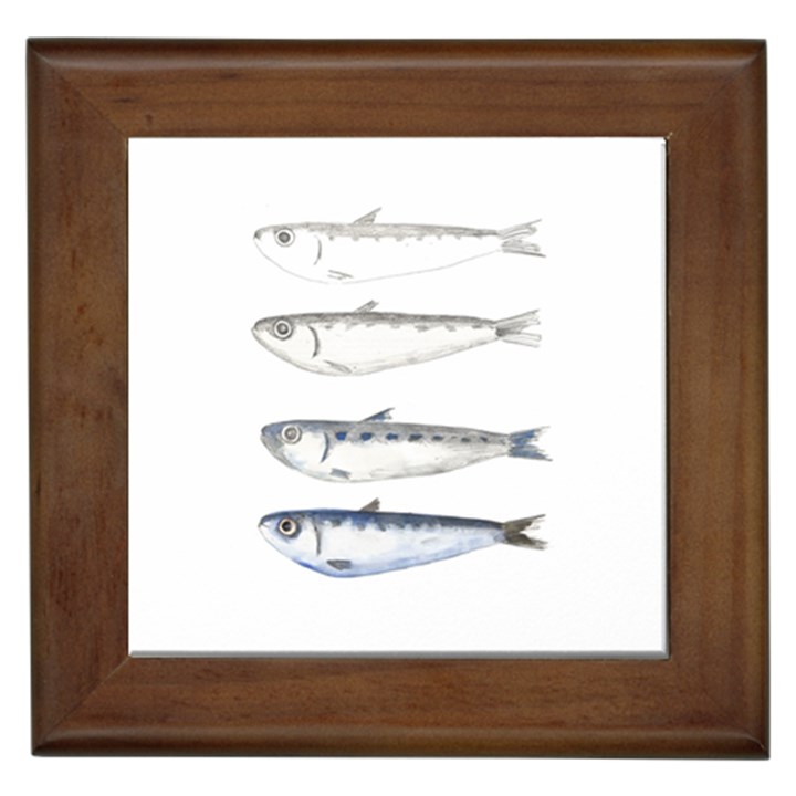 Pencil Fish Sardine Drawing Framed Tile