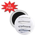 Pencil Fish Sardine Drawing 1.75  Magnets (10 pack)  Front