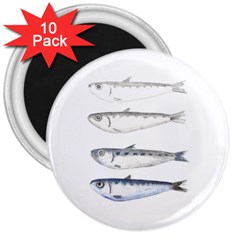 Pencil Fish Sardine Drawing 3  Magnets (10 Pack)  by HermanTelo