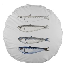 Pencil Fish Sardine Drawing Large 18  Premium Round Cushions by HermanTelo