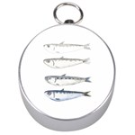 Pencil Fish Sardine Drawing Silver Compasses Front