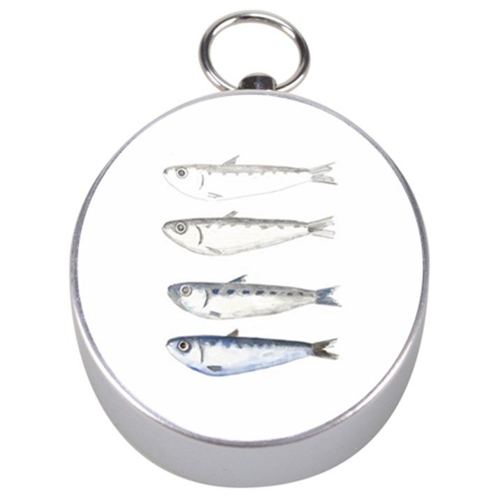 Pencil Fish Sardine Drawing Silver Compasses