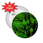 Big Trees, El Leoncito National Park, San Juan, Argentina 2.25  Buttons (10 pack)  Front