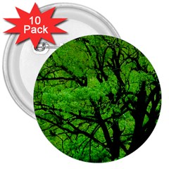 Big Trees, El Leoncito National Park, San Juan, Argentina 3  Buttons (10 Pack)  by dflcprintsclothing