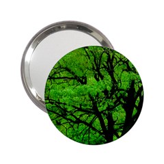 Big Trees, El Leoncito National Park, San Juan, Argentina 2 25  Handbag Mirrors by dflcprintsclothing