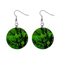 Big Trees, El Leoncito National Park, San Juan, Argentina Mini Button Earrings by dflcprintsclothing