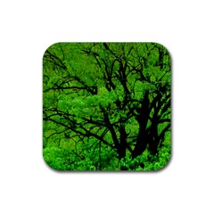 Big Trees, El Leoncito National Park, San Juan, Argentina Rubber Coaster (square)  by dflcprintsclothing