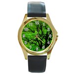 Big Trees, El Leoncito National Park, San Juan, Argentina Round Gold Metal Watch Front