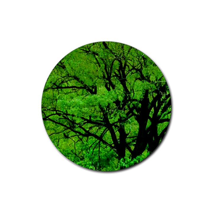 Big Trees, El Leoncito National Park, San Juan, Argentina Rubber Coaster (Round) 