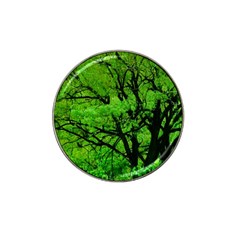 Big Trees, El Leoncito National Park, San Juan, Argentina Hat Clip Ball Marker (4 Pack) by dflcprintsclothing