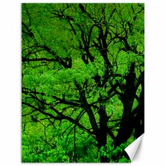 Big Trees, El Leoncito National Park, San Juan, Argentina Canvas 12  X 16  by dflcprintsclothing