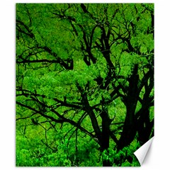 Big Trees, El Leoncito National Park, San Juan, Argentina Canvas 20  X 24  by dflcprintsclothing