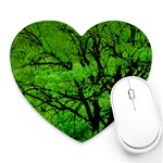 Big Trees, El Leoncito National Park, San Juan, Argentina Heart Mousepads Front