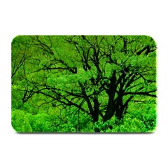 Big Trees, El Leoncito National Park, San Juan, Argentina Plate Mats by dflcprintsclothing