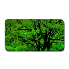 Big Trees, El Leoncito National Park, San Juan, Argentina Medium Bar Mats by dflcprintsclothing