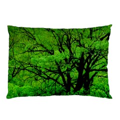 Big Trees, El Leoncito National Park, San Juan, Argentina Pillow Case by dflcprintsclothing