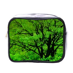 Big Trees, El Leoncito National Park, San Juan, Argentina Mini Toiletries Bag (one Side)