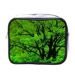 Big Trees, El Leoncito National Park, San Juan, Argentina Mini Toiletries Bag (One Side) Front