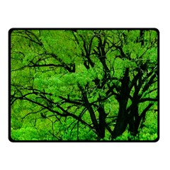 Big Trees, El Leoncito National Park, San Juan, Argentina Fleece Blanket (small) by dflcprintsclothing