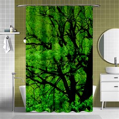 Big Trees, El Leoncito National Park, San Juan, Argentina Shower Curtain 48  X 72  (small)  by dflcprintsclothing