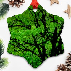 Big Trees, El Leoncito National Park, San Juan, Argentina Snowflake Ornament (two Sides) by dflcprintsclothing