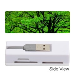 Big Trees, El Leoncito National Park, San Juan, Argentina Memory Card Reader (stick) by dflcprintsclothing