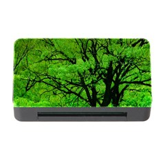 Big Trees, El Leoncito National Park, San Juan, Argentina Memory Card Reader With Cf by dflcprintsclothing