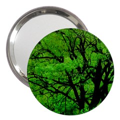 Big Trees, El Leoncito National Park, San Juan, Argentina 3  Handbag Mirrors by dflcprintsclothing