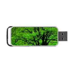 Big Trees, El Leoncito National Park, San Juan, Argentina Portable Usb Flash (two Sides) by dflcprintsclothing