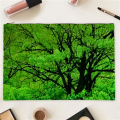 Big Trees, El Leoncito National Park, San Juan, Argentina Cosmetic Bag (xxl) by dflcprintsclothing