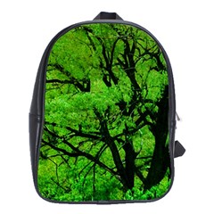 Big Trees, El Leoncito National Park, San Juan, Argentina School Bag (xl) by dflcprintsclothing