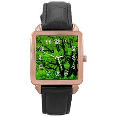 Big Trees, El Leoncito National Park, San Juan, Argentina Rose Gold Leather Watch  by dflcprintsclothing